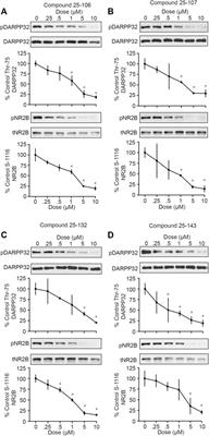 Systemic Administration of a Brain Permeable Cdk5 Inhibitor Alters Neurobehavior